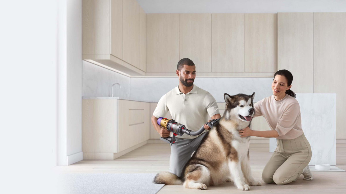 Dyson Pet Grooming Kit