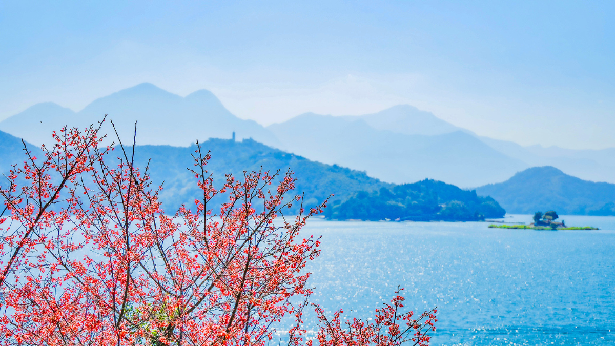 The Lalu Spring Flower Holiday