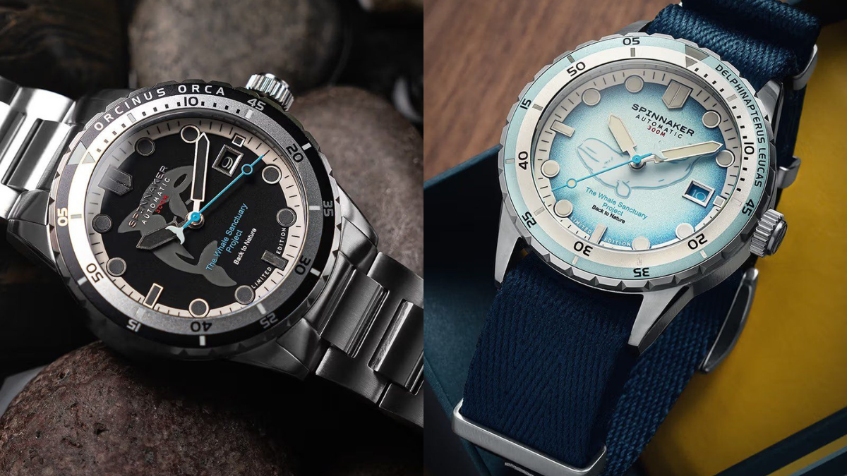 spinnaker for whale sanctuary project beluga blue & orca black watch